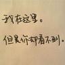 飞龙在天